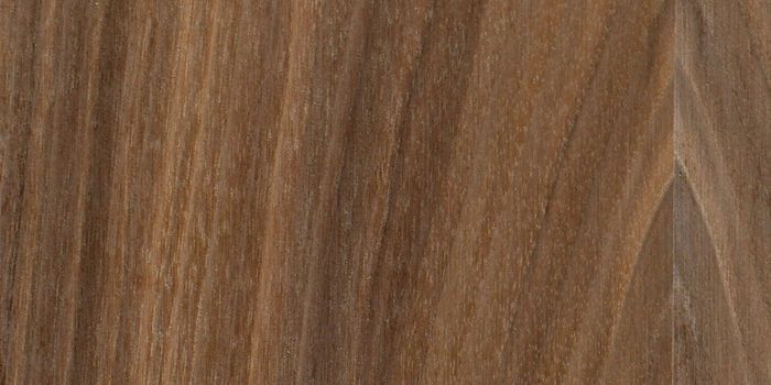 American Black Walnut A/B Veneered MR MDF 19mm