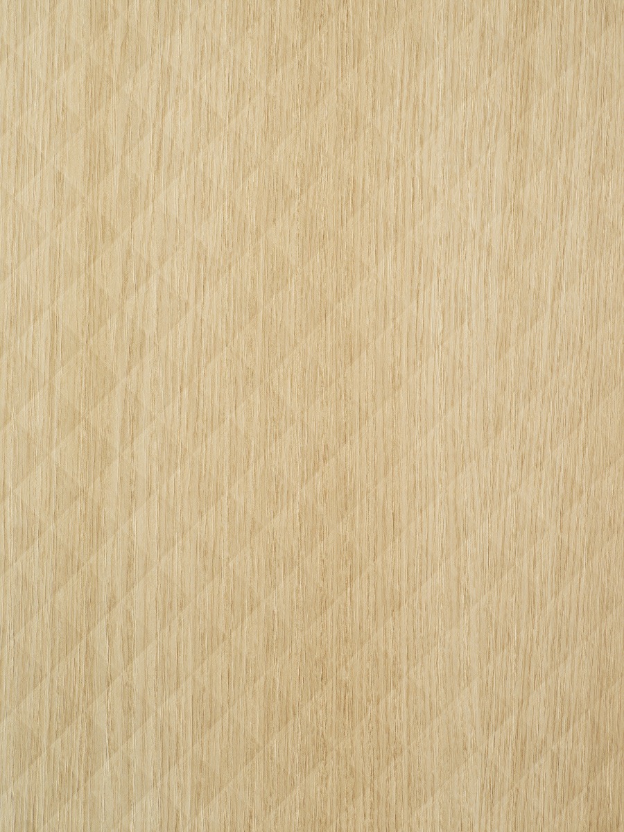 Cleaf-S206-Cheope