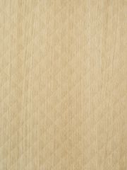 Cleaf-S206-Cheope