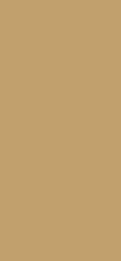 F527 ST20 Egger Golden Brushed Metal