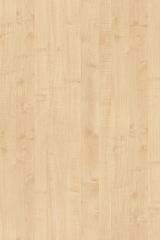  BS Maple Basic