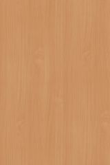  PR Beech Basic