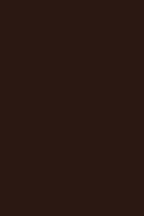  BS Dark Chocolate Colour