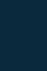  BS Navy Blue Colour
