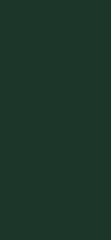 U699 ST9 Egger Fir Green
