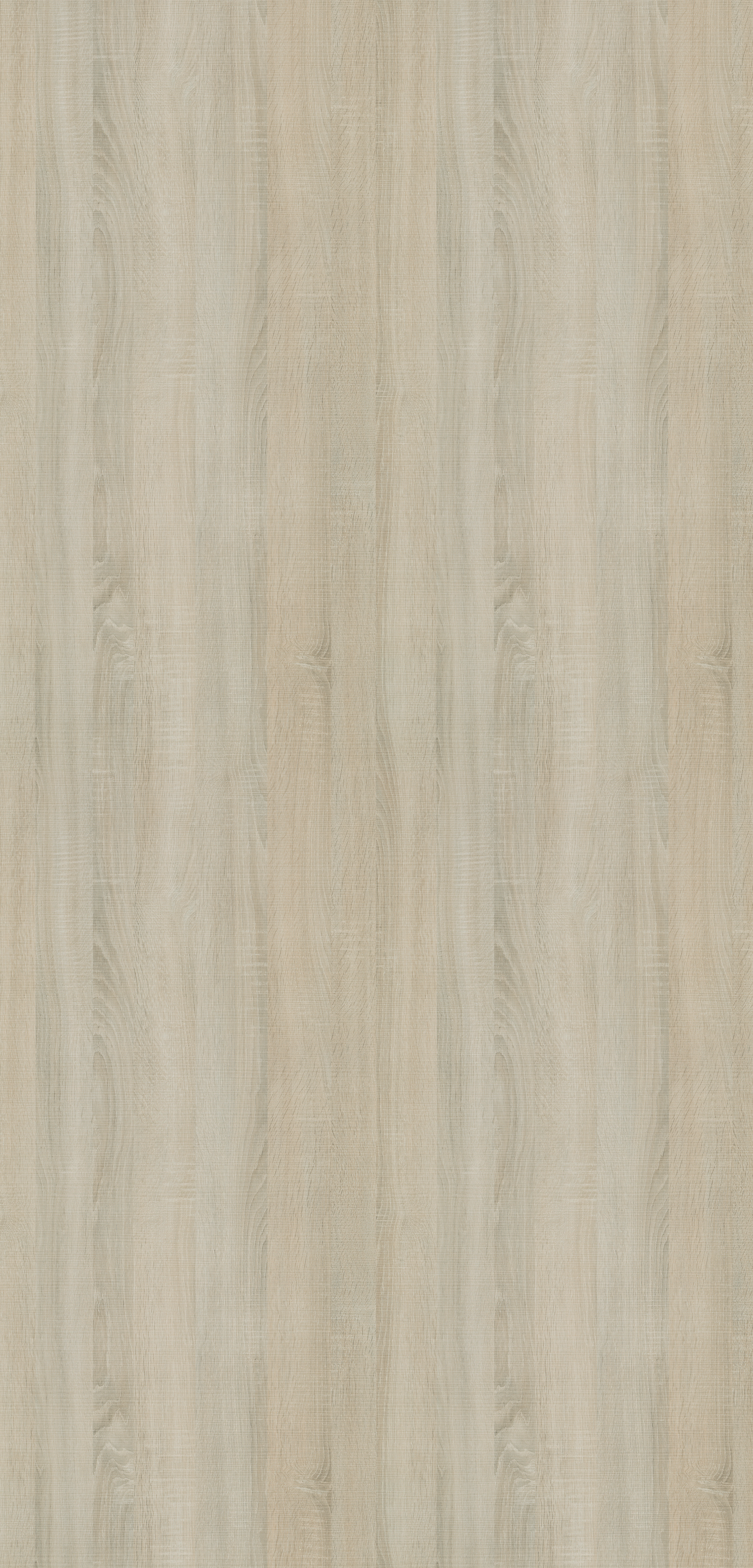 51S Caledonian Oak