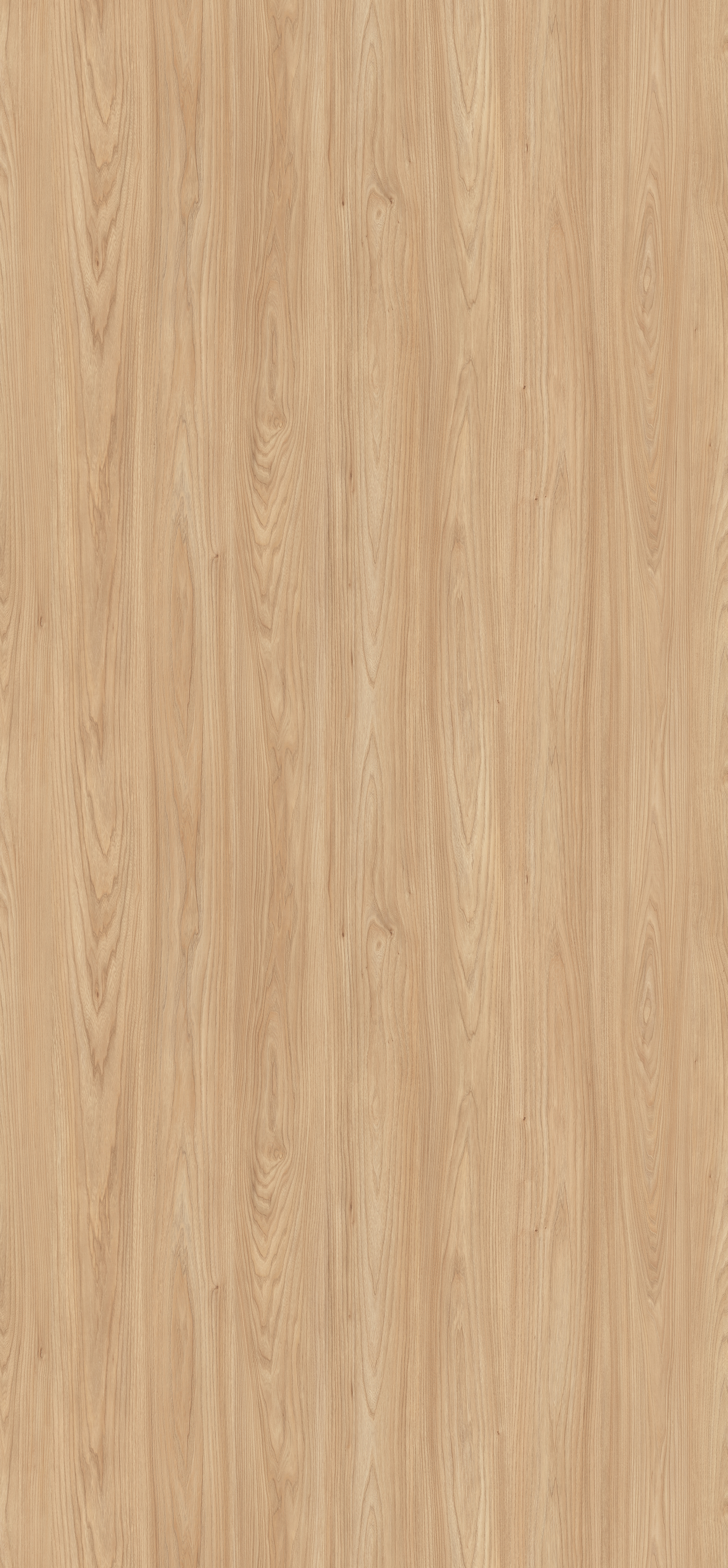 H1242 ST10 Egger Natural Sheffield Acacia