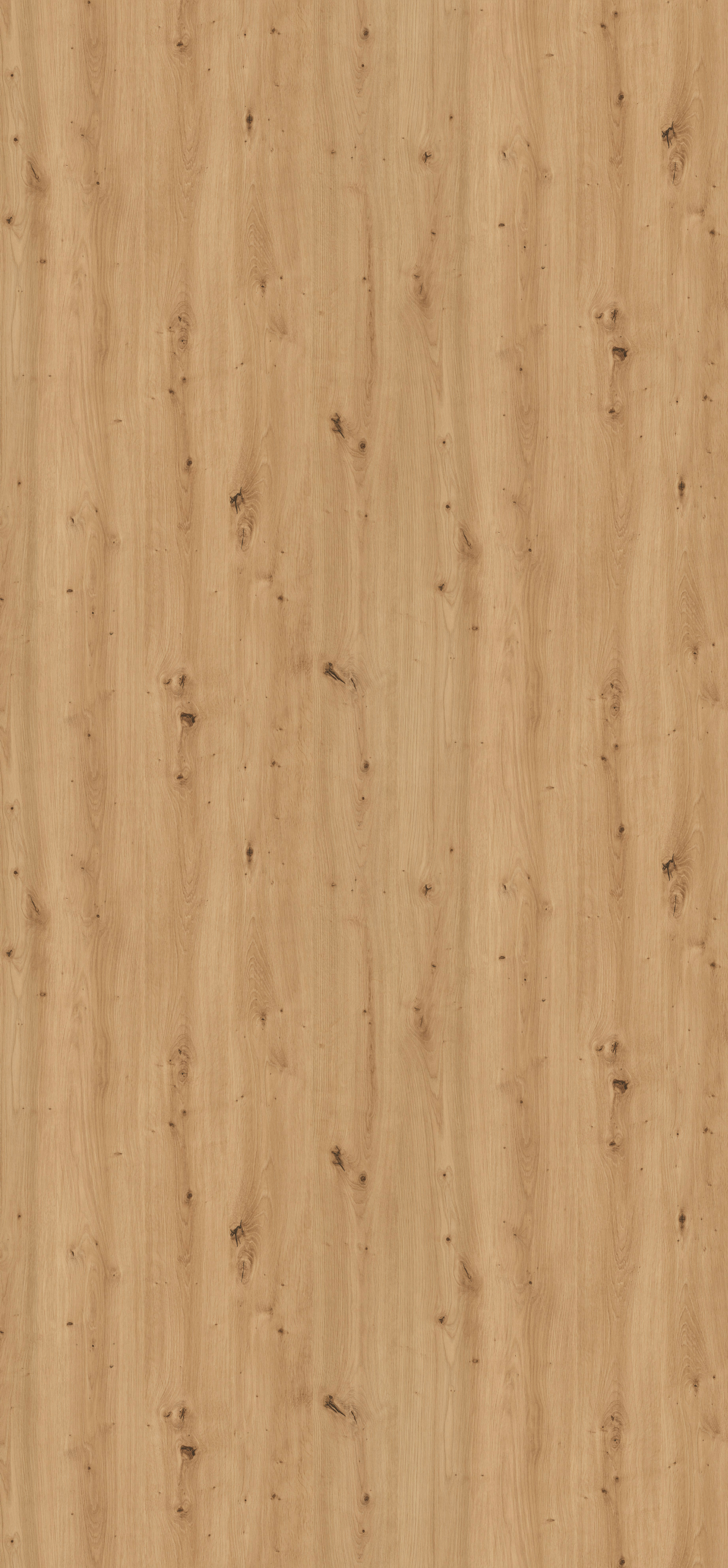 H1318 ST10 Egger Natural Wild Oak