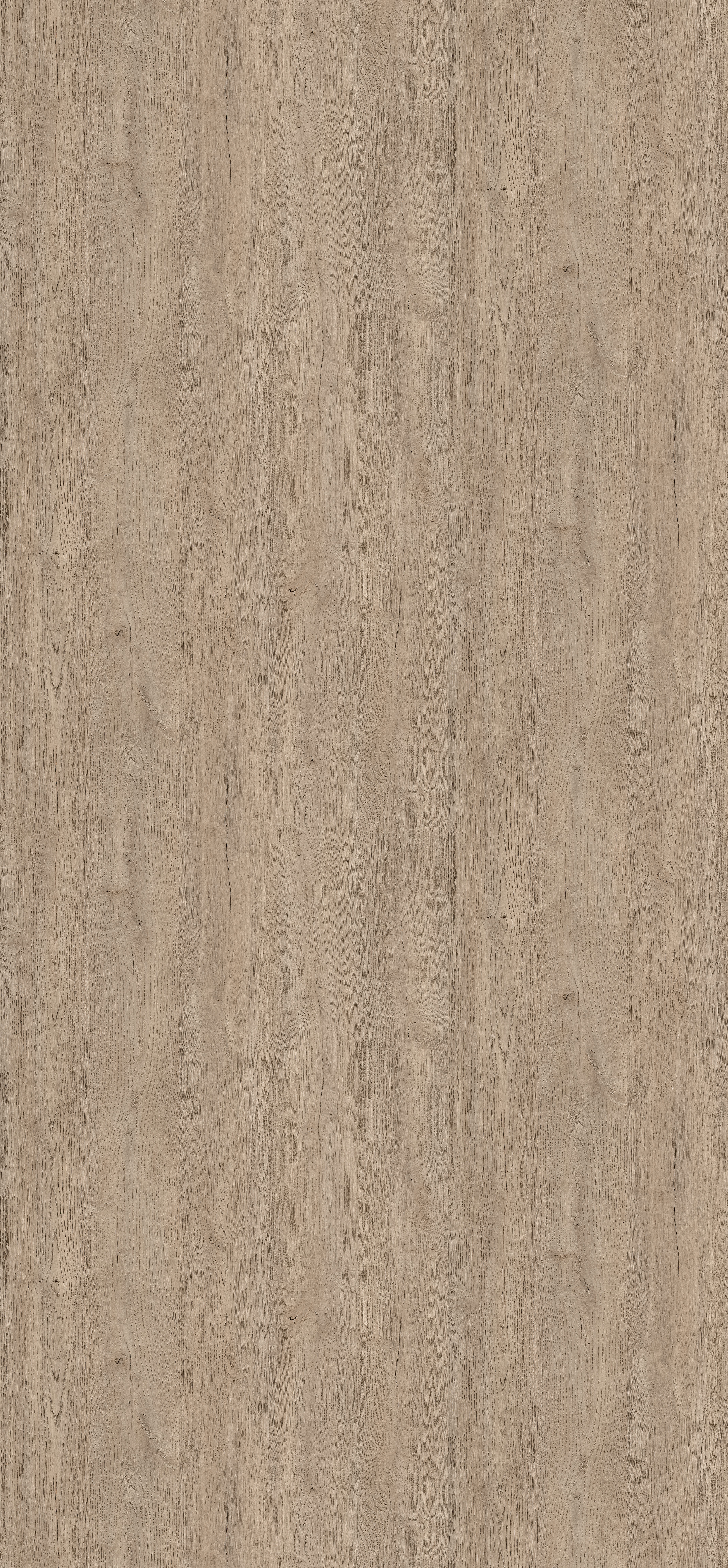 H1357 ST10 Egger Grey Beige Spree Oak