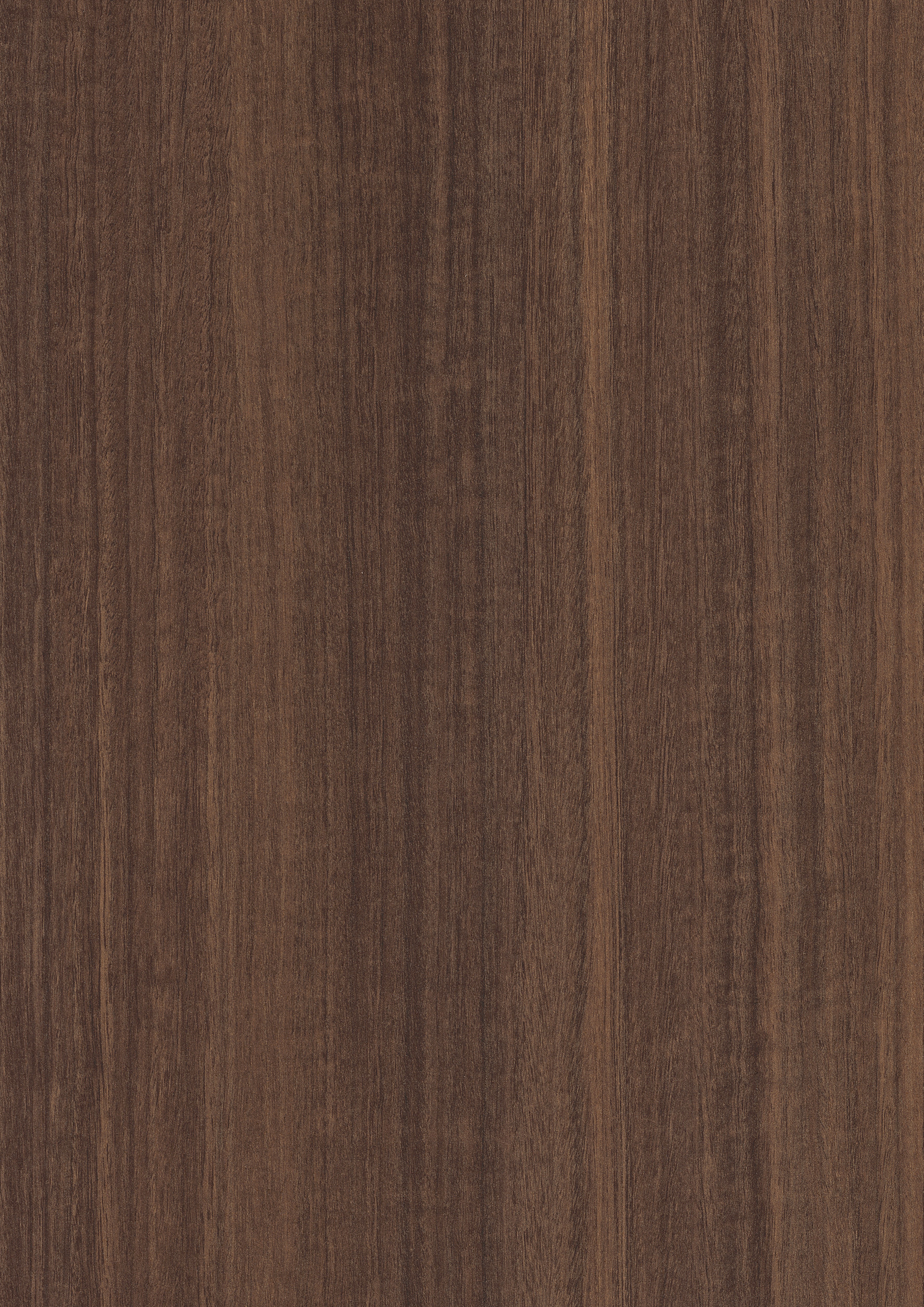 H3041 TM12 Egger Natural Eucalyptus