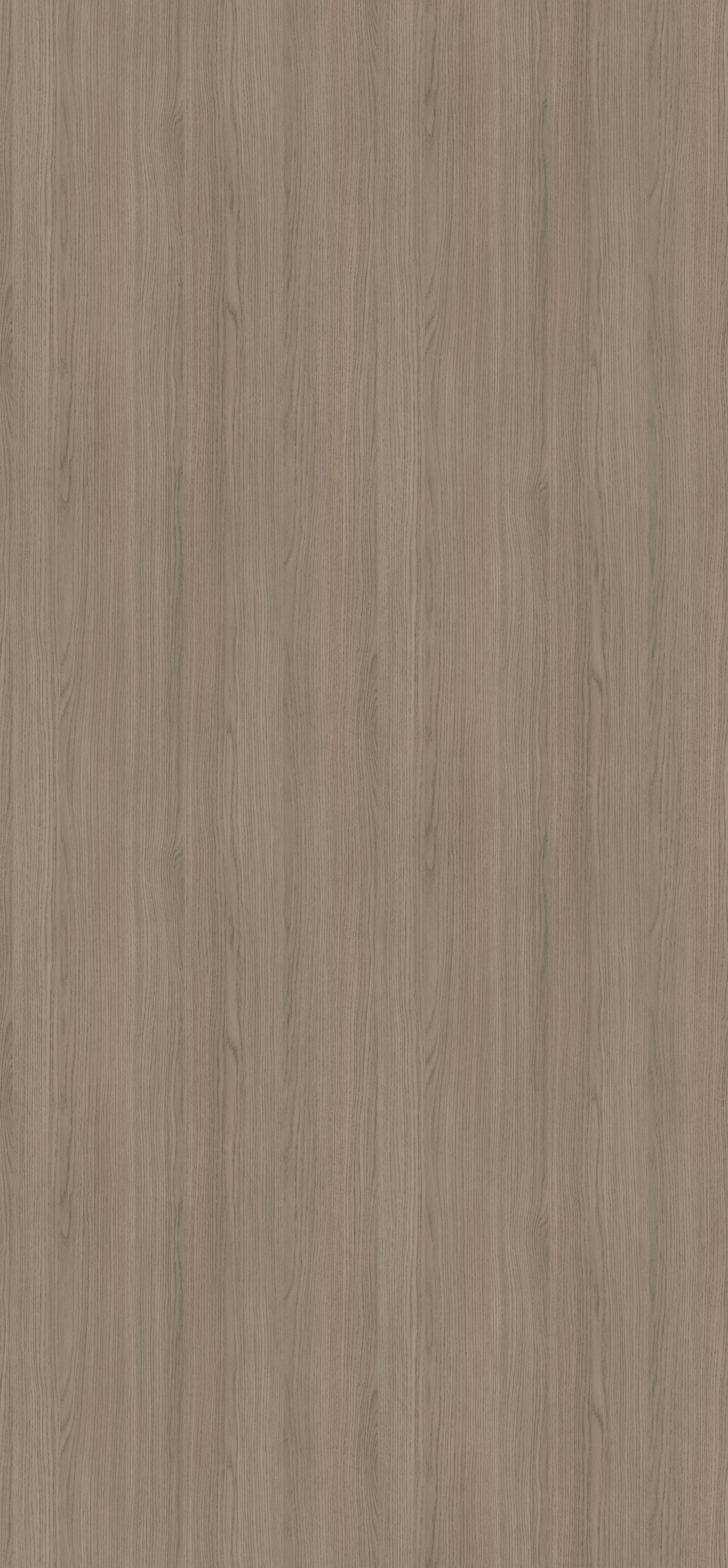 H3158 ST19 Egger Grey Vicenza Oak