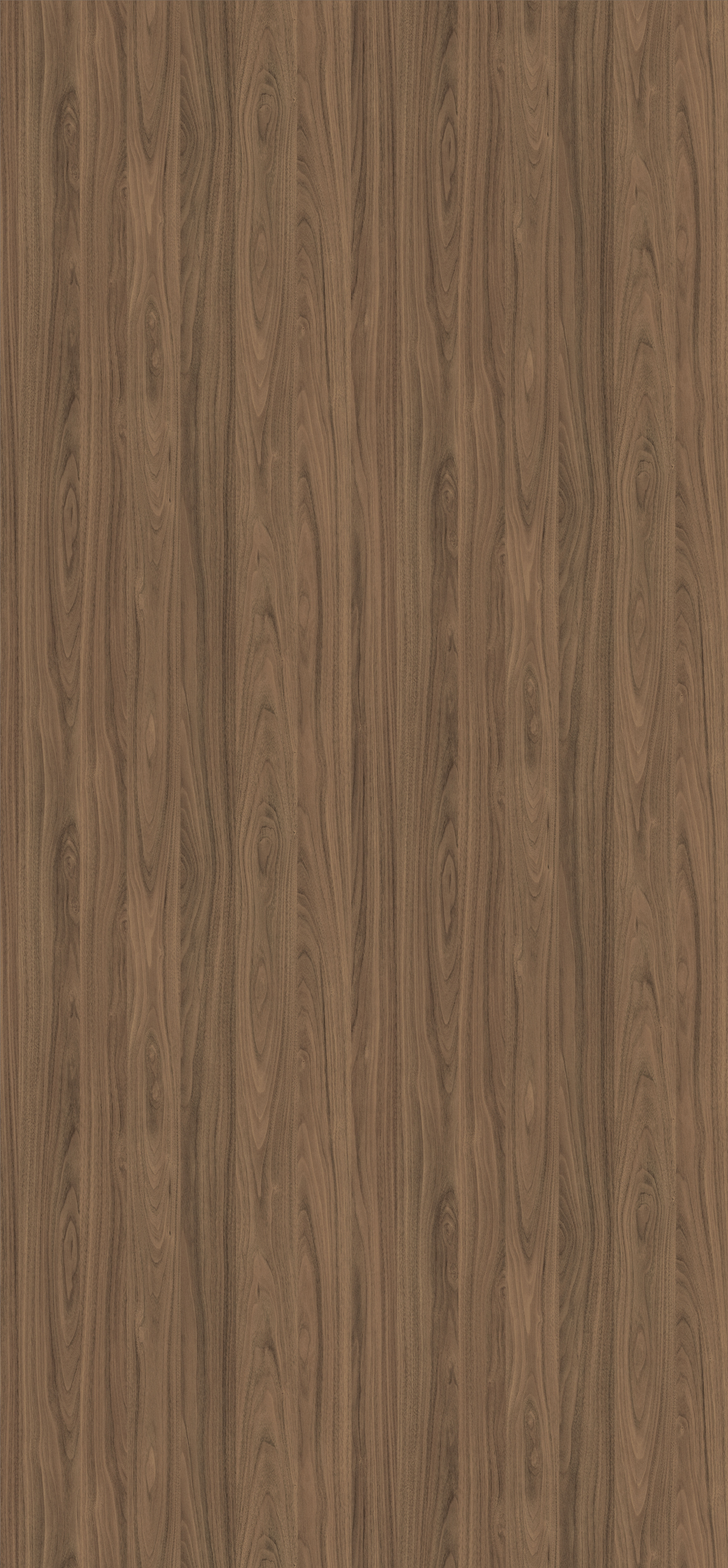 H3710 ST12 Egger Natural Carini Walnut
