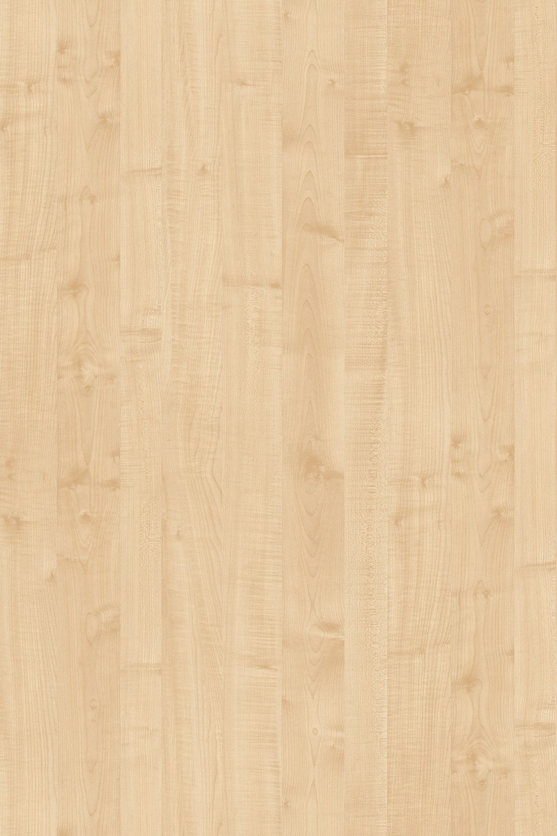 BS Maple Basic
