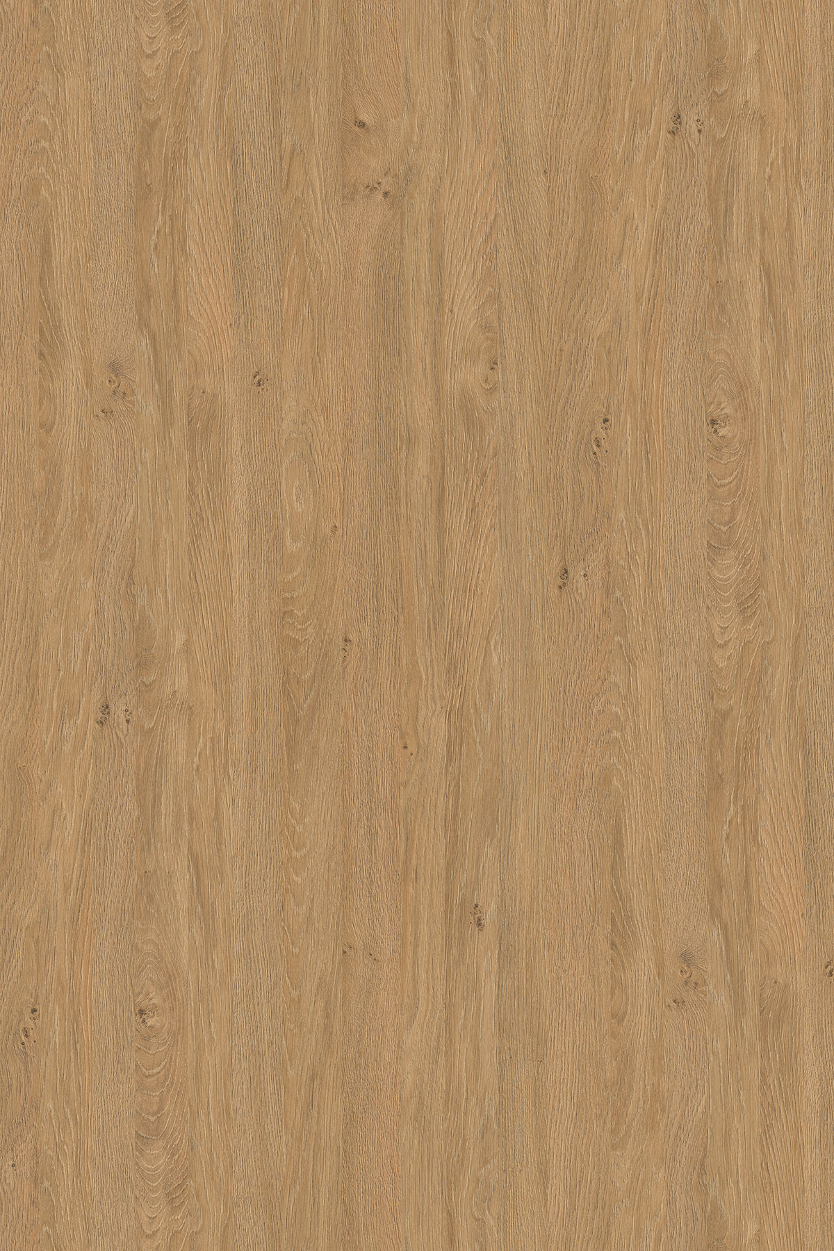  SN Stone Oak Contempo