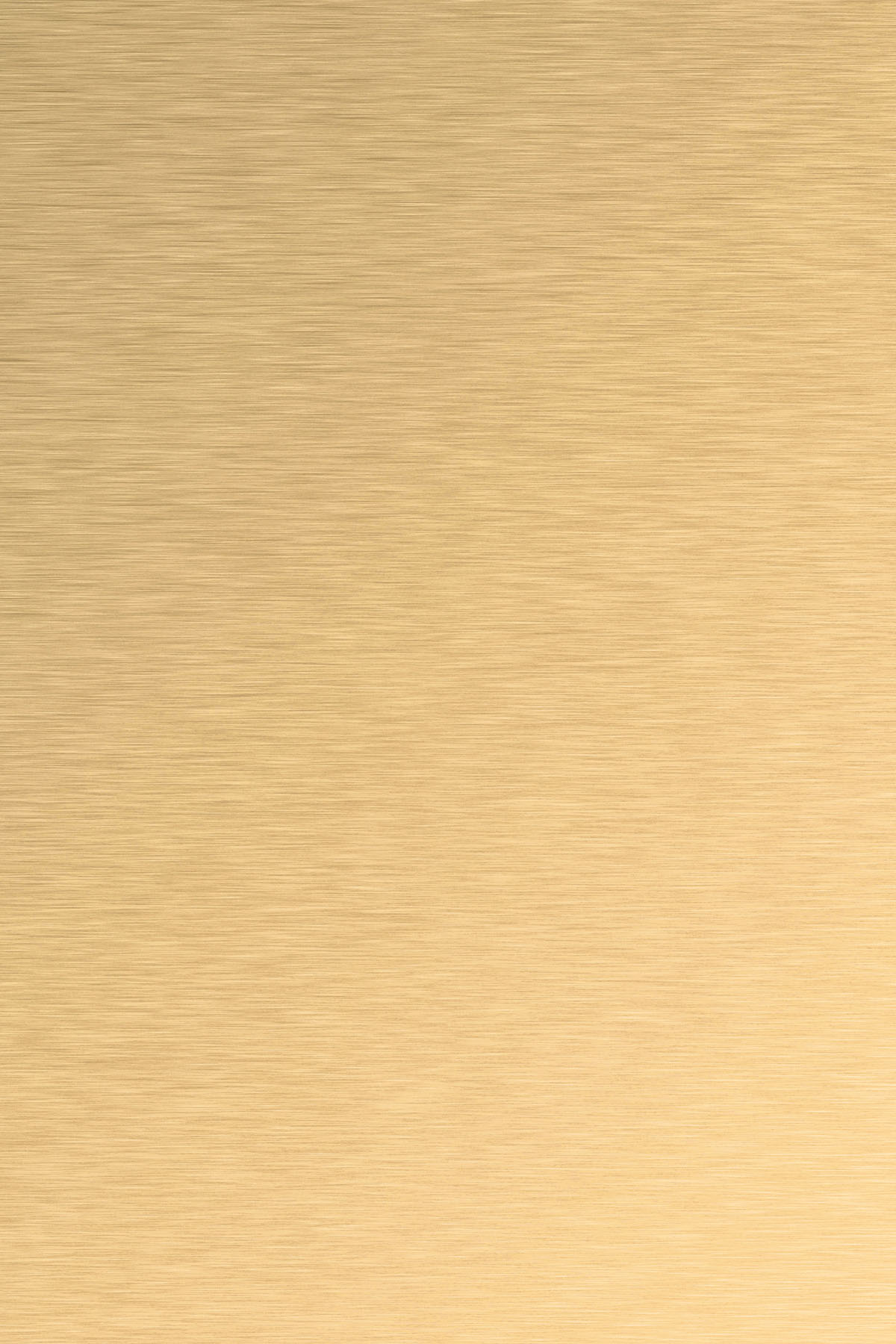  Brushed Gold Metal