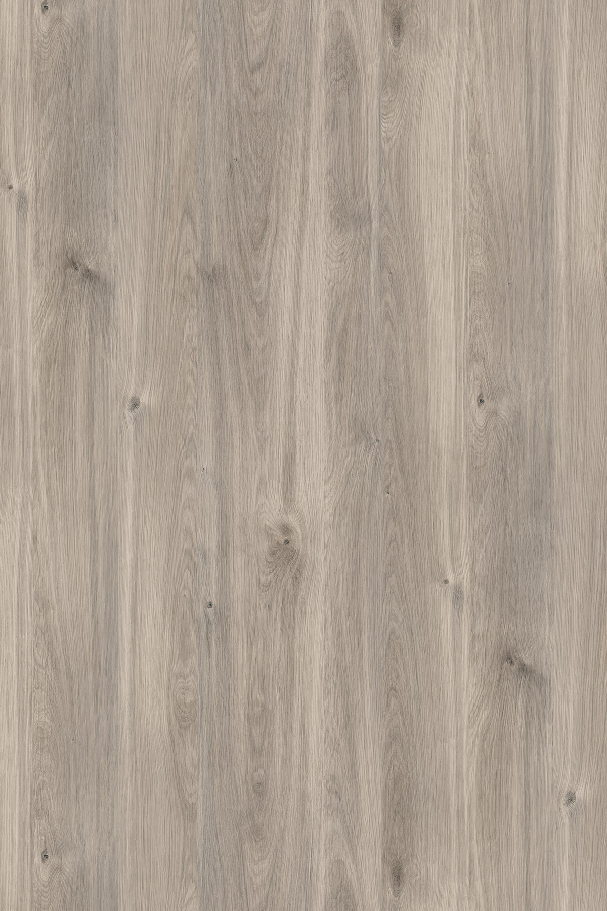  PW Greige Castello Oak Contempo