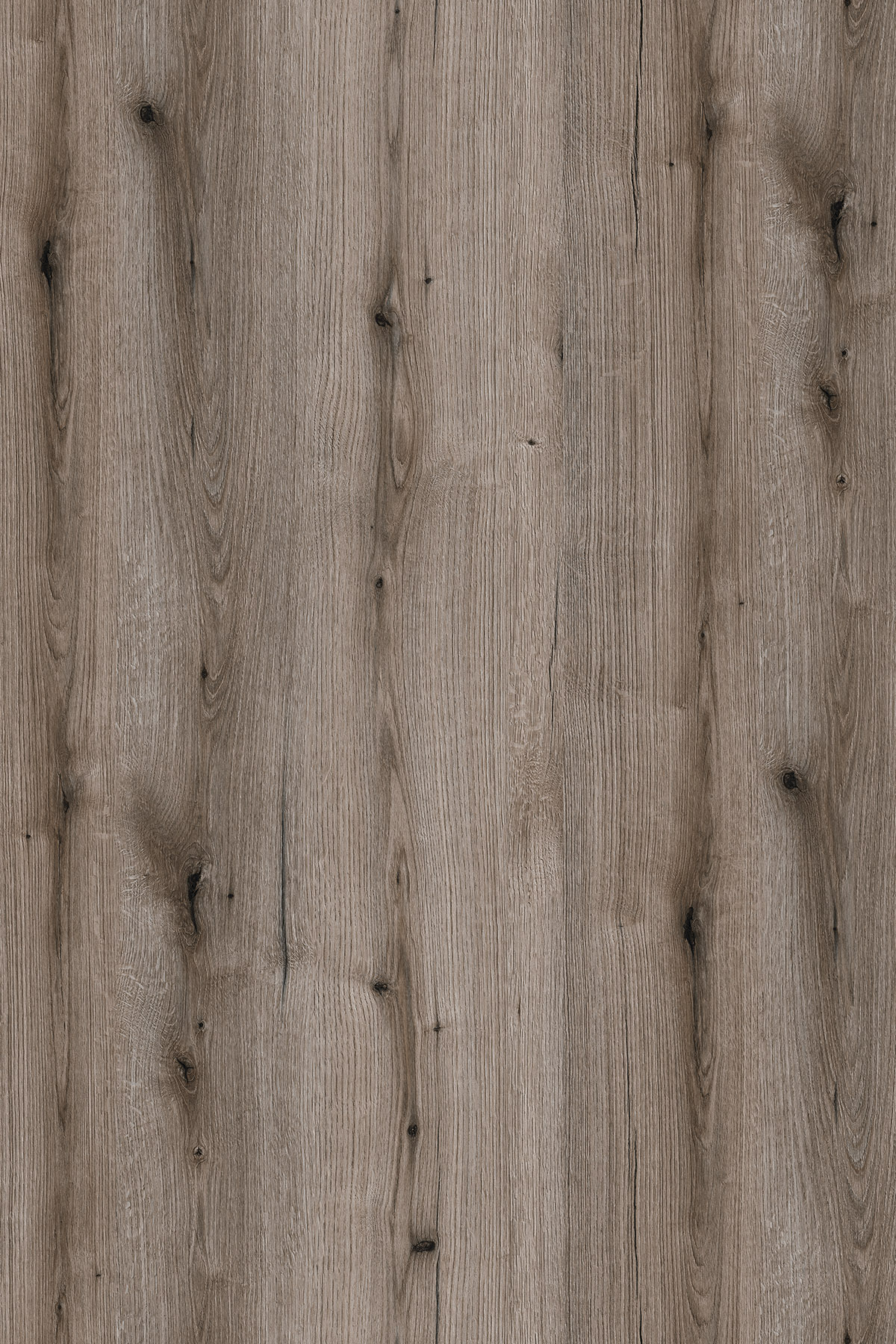 PW Fossil Evoke Oak Contempo