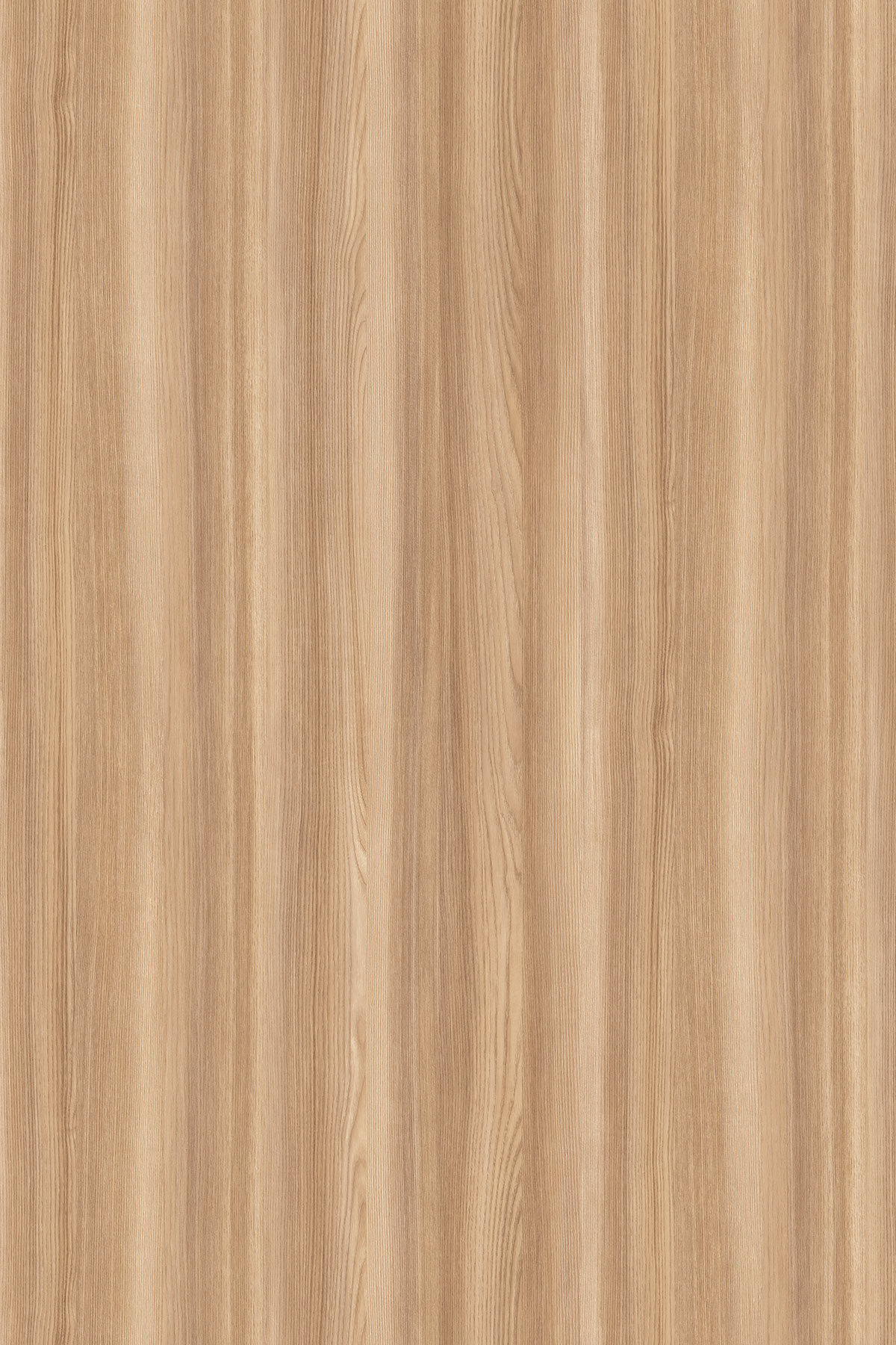  SN Blonde Surfside Ash Contempo