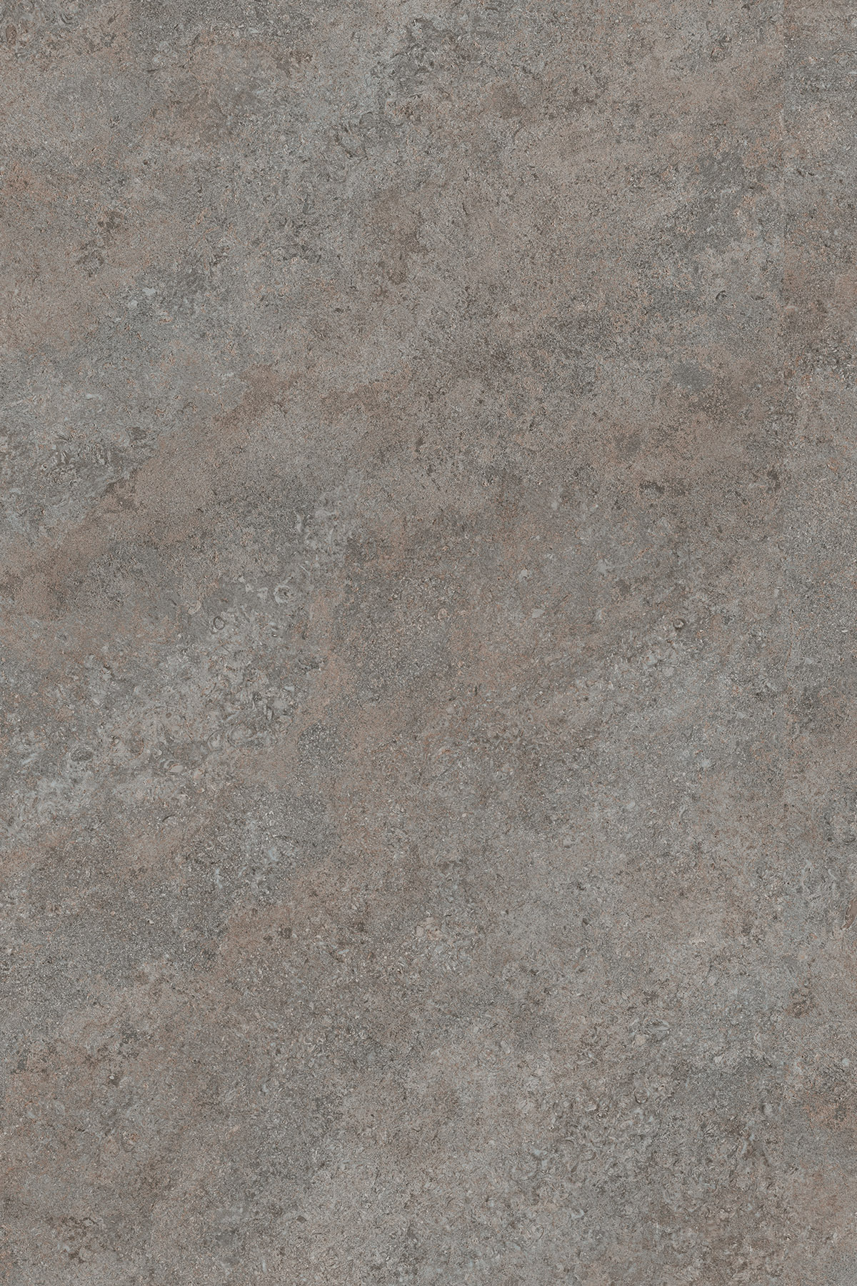  PN Grey Albus Contempo