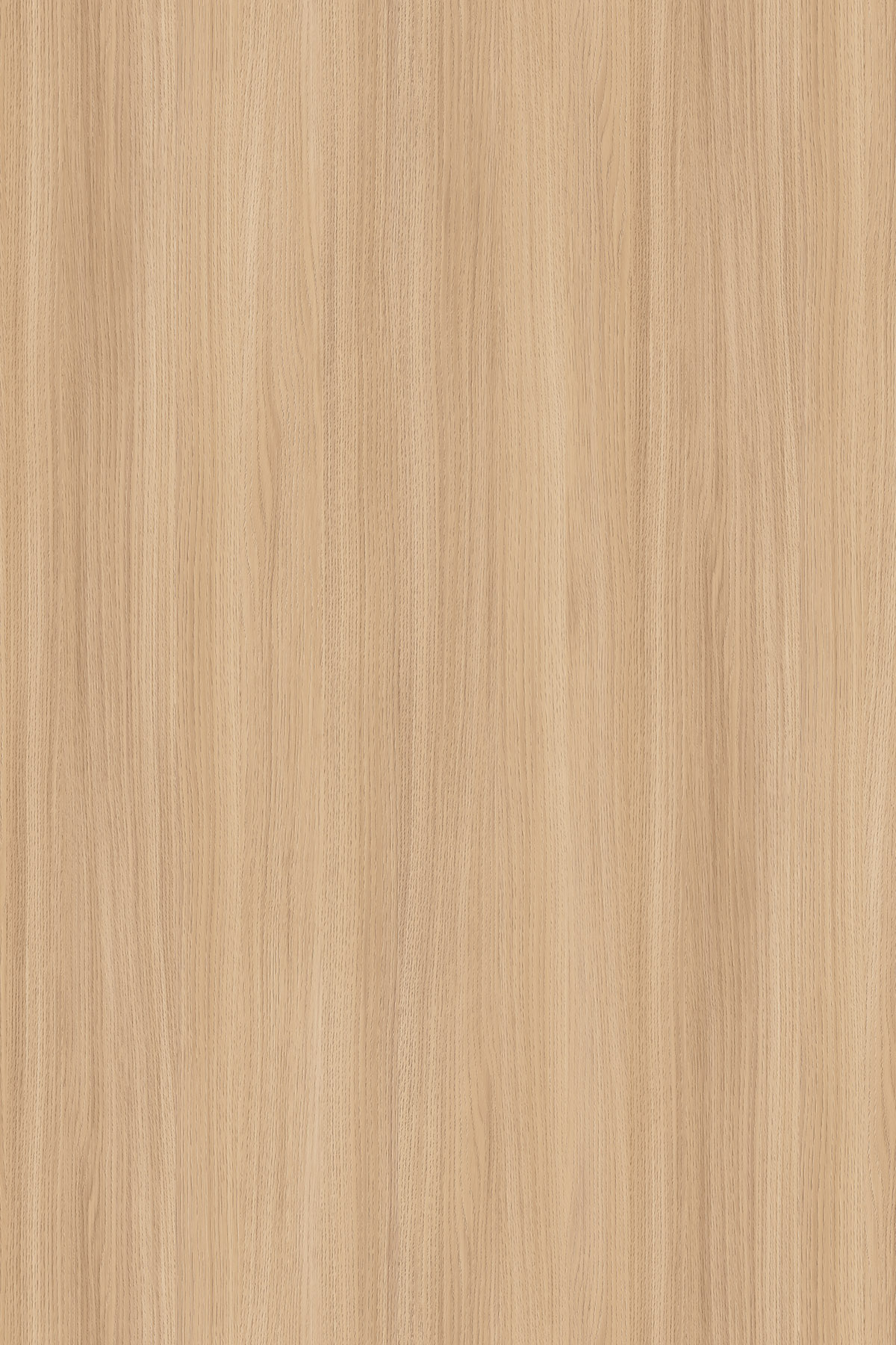  SN Sand Barbera Oak Contempo