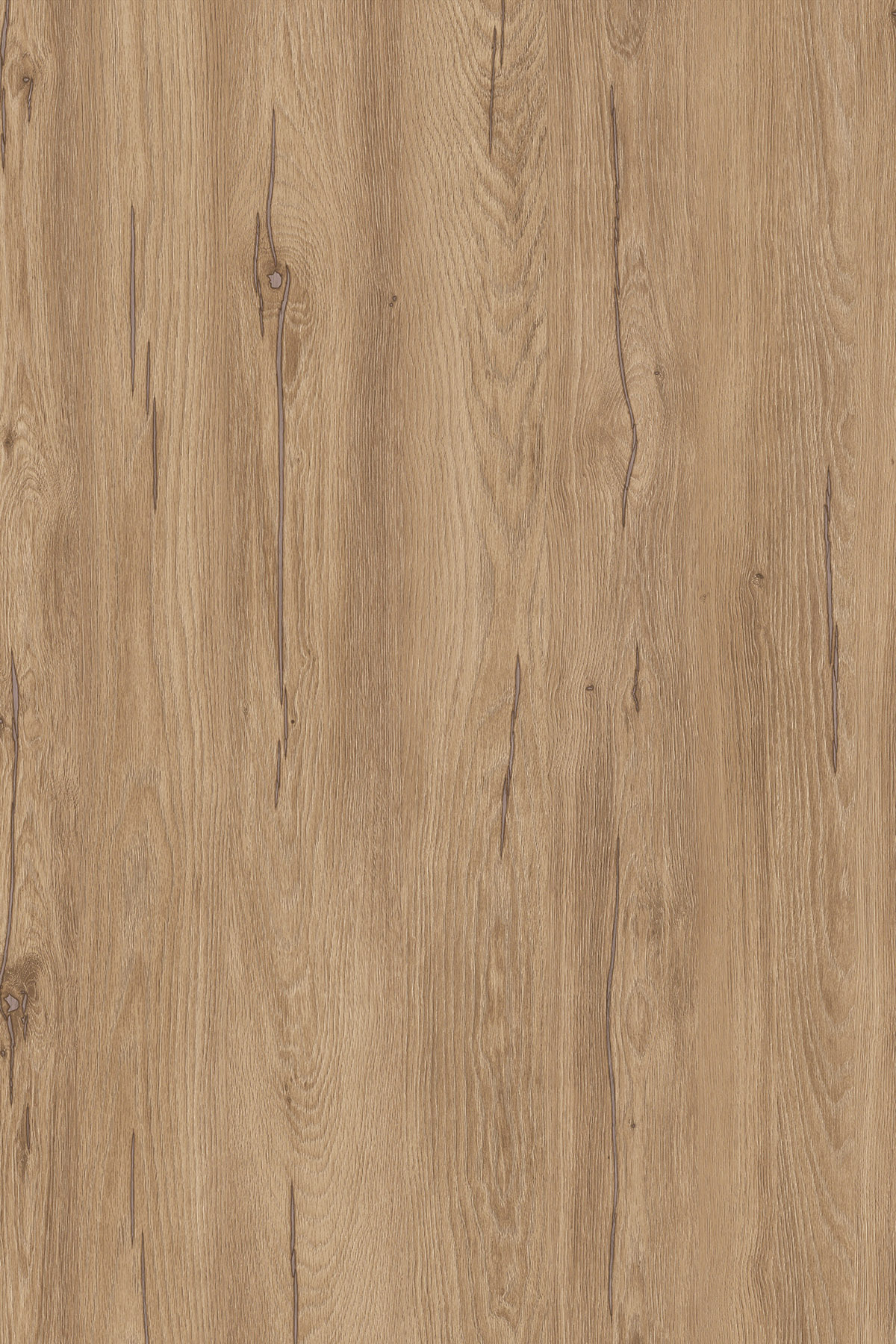  RW Hazel Silverjack Oak Contempo