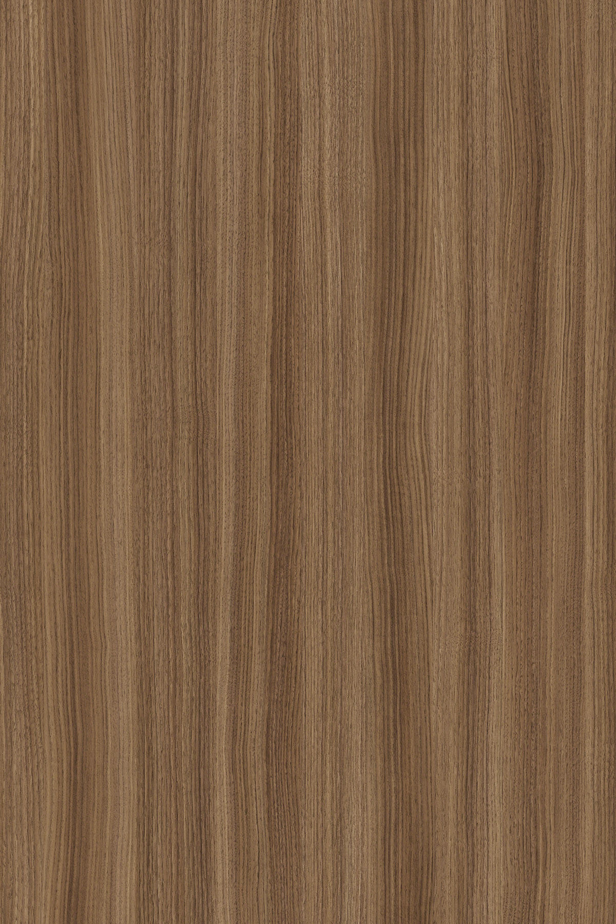  RW Caramel Franklin Walnut Contempo